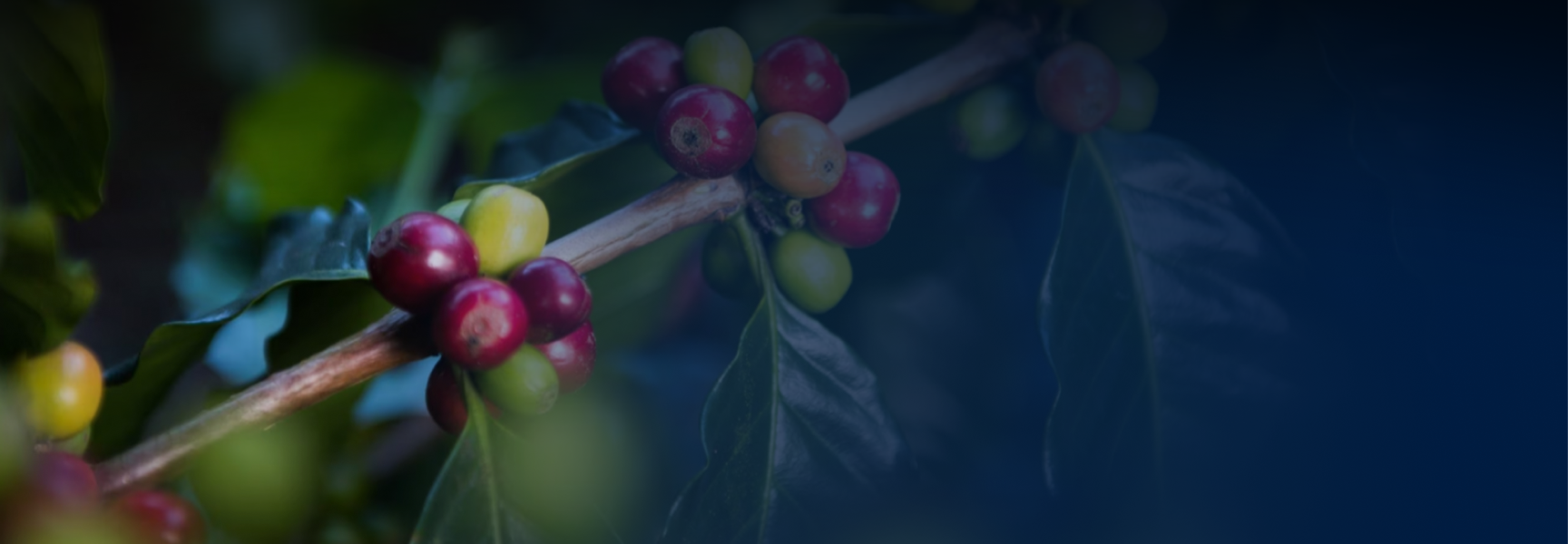 Intestazione area didattica